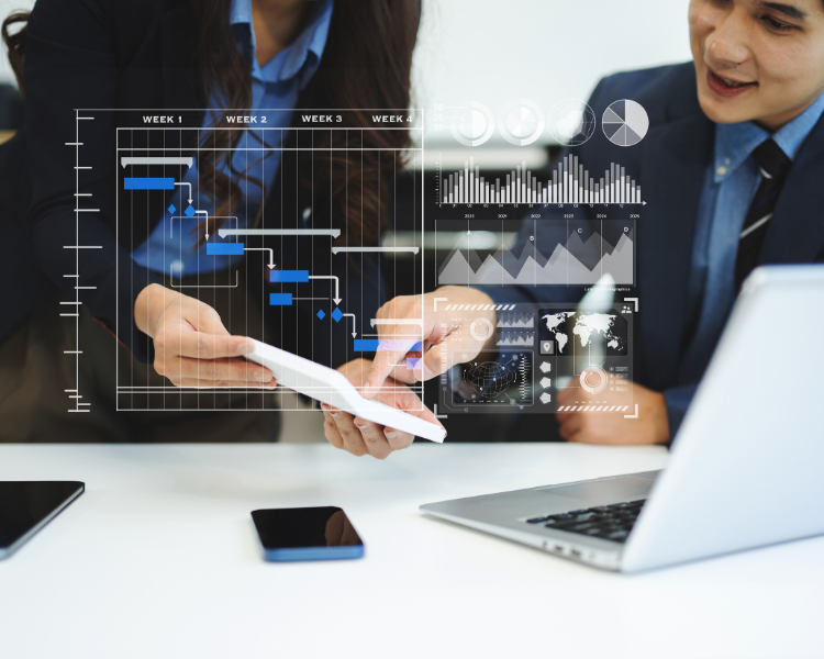 Enumerate insights and project delivery